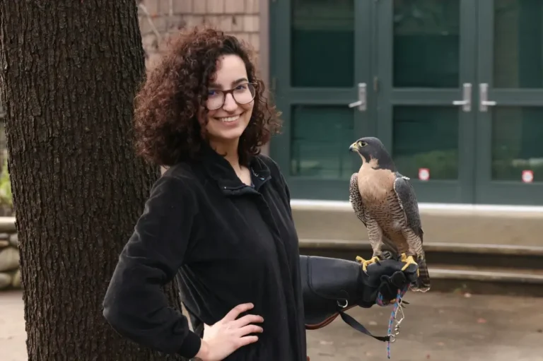 Stories From the Wild: A Traveler’s Perspective