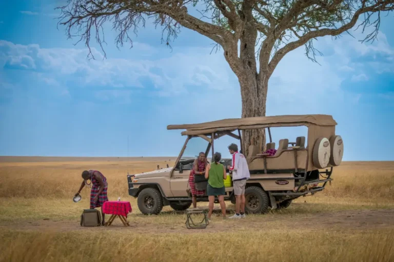 Exploring Untamed Africa: Jeep Safari Adventures